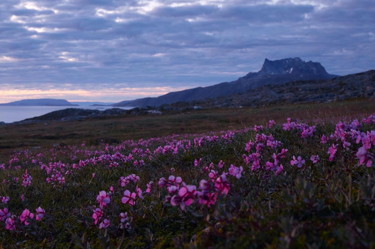 Hotel Nordbo Nuuk Zewnętrze zdjęcie